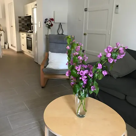 Agreable Maison Avec Jardin Et Terrasse - Climatisee - De Porticcio A 12 Mn Nyaraló *