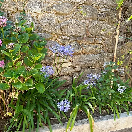Nyaraló Agreable Maison Avec Jardin Et Terrasse - Climatisee - De Porticcio A 12 Mn